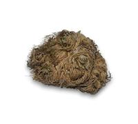 Rosa de Jericó Planta de la Fortuna y la Prosperidad HOSTENATURA