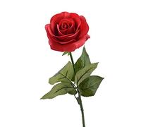 Rosa de «La Bella y la Bestia» con luz LED en cúpula de cristal sobre base de madera, para decoración del hogar, cumpleaños, boda, día de San Valentín