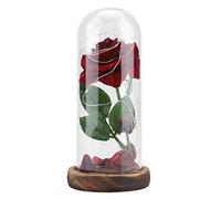 Rosa del Principito, Flor de Rosa eterna preservada con Cadena LED en cúpula de Vidrio.Buen Regalo para Novia, día de San Valentín, día de Las Madres (Rojo)(Rojo)