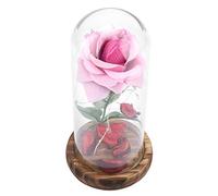 Rosa del Principito, flor de rosa eterna preservada con cadena LED en cúpula de vidrio.Buen regalo para novia, día de San Valentín, día de las madres (rojo)(rosado)
