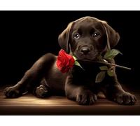 Rosa Diamond Painting Adultos, 5D Diamond Painting Kit Completo Perro Patrón, Punto de Cruz Diamante Manualidades Adultos Kit, Decoracion Hogar Pared, Regalos Originales para Mujer, 20x30cm,Model694