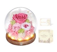 Rosa Eterna en Cúpula de Cristal con LED, Rosa Preservada por 5 Años, Flores Preservadas, Regalo para Mujer, Mamá, Novia o Esposa, Día de la Madre, San Valentín, Cumpleaños y Aniversario (Rosa)