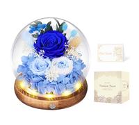 Rosa Eterna en Cúpula de Cristal con LED, Rosa Preservada por 5 Años, Flores Preservadas, Regalo para Mujer, Mamá, Novia o Esposa, Día de la Madre, San Valentín, Cumpleaños y Aniversario (Azules)