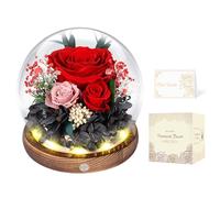 Rosa Eterna en Cúpula de Cristal con LED, Rosa Preservada por 5 Años, Flores Preservadas, Regalo para Mujer, Mamá, Novia o Esposa, Día de la Madre, San Valentín, Cumpleaños y Aniversario (Roja)
