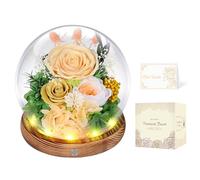 Rosa Eterna en Cúpula de Cristal con LED, Rosa Preservada por 5 Años, Flores Preservadas, Regalo para Mujer, Mamá, Novia o Esposa, Día de la Madre, San Valentín, Cumpleaños y Aniversario (Champán)