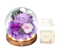 Rosa Eterna en Cúpula de Cristal con LED, Rosa Preservada por 5 Años, Flores Preservadas, Regalo para Mujer, Mamá, Novia o Esposa, Día de la Madre, San Valentín, Cumpleaños y Aniversario (Moradas)