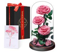 Rosa Eterna en Cúpula de Cristal, Rosa Bella y Bestia, Flores Naturale Preservada, Ideas Rosas Regalos para Día de la Madre, Día de San Valentín, Aniversario,Navidad, Mujer, Mamá, Novia, Abuela