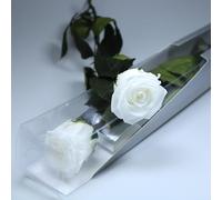 Rosa Eterna Preservada de Color Blanco con Tallo 55cm Mujer,Mamá,Novia,Abuela- Flores Infinita para Cumpleaños Sant Jordy y Día de la Madre - Rosas Preservadas de Ecuador Premium