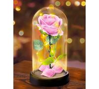 Rosa Eterna Regalo de San Valentín para Ella Mujeres,Regalo de Flor de Rosa para Mamá, Novia -1 Rosa de Seda Rosa con Luz LED en una Cúpula de Cristal para el Día de la Madre Aniversario Cumpleaños