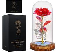 Rosa Eterna Rojo,Regalos Originales para Mujer, Ella, Mamá, Abuela, Esposa | Rosas Galaxia Regalos Cumpleaños,San Valentin, Navidad,Sant Jordi para Mujer, Hermana, Cuñada, Mejor Amiga, Suegra y Amiga