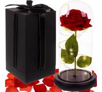 Rosa Eterna-Rosa Bella y Bestia-Elegante Cúpula de Cristal Luz Led-Regalos Originales Abuela cumpleaños para Mujer-Romántico, Regalo de Novia Bodas-Esposa Decoración para Día de la Madre-San Valentín