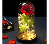 Rosa Eterna Vera Ideas Regalo Fiestas Mujer Regalos San Valentín para ella La Bella y la Bestia Rosa Estabilizada Auténtica Infinita Rosa Eterna Encantada Roja en Campana de Cristal (con luces)