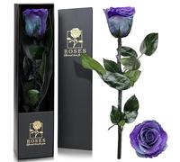 Rosa infinita en caja de regalo, rosa eterna con tallo, regalos para mujeres, rosas reales, una flor conservada para mamá, mujer, novia, para cumpleaños, día de San Valentín, Navidad, cielo estrellado