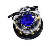 Rosa real con luz LED Eternal Flowers For Mom Grandma Wife On Mothers Day Birthday Valentines Christmas And Thanksgiving.Preserved Roses In Box Escritorio (Blue One Size)