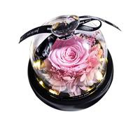 Rosa real con luz LED Eternal Flowers For Mom Grandma Wife On Mothers Day Birthday Valentines Christmas And Thanksgiving.Preserved Roses In Box Escritorio (Pink One Size)