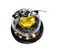 Rosa real con luz LED Eternal Flowers For Mom Grandma Wife On Mothers Day Birthday Valentines Christmas And Thanksgiving.Preserved Roses In Box Escritorio (Yellow One Size)
