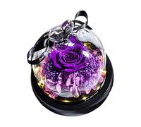 Rosa real con luz LED Eternal Flowers For Mom Grandma Wife On Mothers Day Birthday Valentines Christmas And Thanksgiving.Preserved Roses In Box Escritorio (Purple One Size)