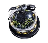 Rosa real preservada con luz LED Eternal Flowers For Mom Grandma Wife On Mothers Day Birthday Valentines Christmas And Thanksgiving.Preserved Roses In Box Escritorio (Black One Size)