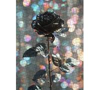 Rosas Negras Puzzle 5000 Piezas, Rompecabezas Adultos Puzzle, Desafiante Puzzles de Decoración Juego de, Entretenimiento Juego Educativo para Toda la Familia, para Regalo Decoración DX0YL7-324