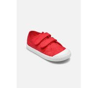 Rose et Martin BERPI 29 Rojo