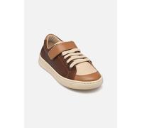 Rose et Martin TIGARS 28 Marrón