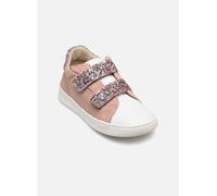 Rose et Martin TISKET 24 Rosa