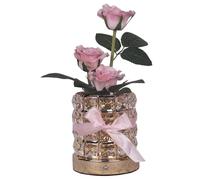 Rose Eternelle - Regalo para el Día de la Madre | Kit de hoja de oro La Belle y la , con luz LED, regalo romántico para novia, ideas de regalos para mujeres, regalos románticos para el salón
