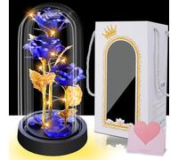 Rose Geschenke Valentinstag für Frauen, Geschenke für Frauen, Eternge Rose im Glas, Valentinstag Geschenk für Sie, Geburtstagsgeschenk für Mama Freundin Oma, Schöne und das Bestia Rose mit LED, Blau