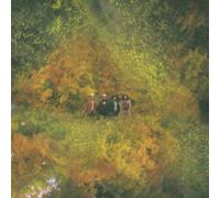 Rose, Mort - Au Revoir Cowboys [VINYL] [Vinilo]