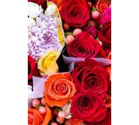 ROSE&PAPER Fine Writing Journal - Rose No. 10, 2026 Collection - for Women, Writers, Students & Rose Lovers: College-Ruled Notebook, 6x9 in (15.24 x ... Hot-Pink Margins - Romantic Floral Cover