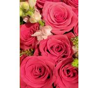 ROSE&PAPER Fine Writing Journal - Rose No. 18, 2026 Collection - for Women, Writers, Students & Rose Lovers: College-Ruled Notebook, 6x9 in (15.24 x ... Hot-Pink Margins - Romantic Floral Cover