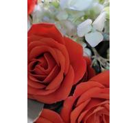 ROSE&PAPER Fine Writing Journal - Rose No. 22, 2026 Collection - for Women, Writers, Students & Rose Lovers: College-Ruled Notebook, 6x9 in (15.24 x ... Hot-Pink Margins - Romantic Floral Cover