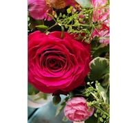 ROSE&PAPER Fine Writing Journal - Rose No. 23, 2026 Collection - for Women, Writers, Students & Rose Lovers: College-Ruled Notebook, 6x9 in (15.24 x ... Hot-Pink Margins - Romantic Floral Cover