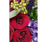 ROSE&PAPER Fine Writing Journal - Rose No. 24, 2026 Collection - for Women, Writers, Students & Rose Lovers: College-Ruled Notebook, 6x9 in (15.24 x ... Hot-Pink Margins - Romantic Floral Cover