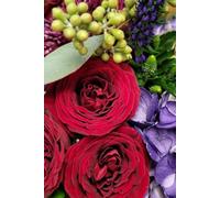 ROSE&PAPER Fine Writing Journal - Rose No. 24, 2026 Collection - for Women, Writers, Students & Rose Lovers: College-Ruled Notebook, 6x9 in (15.24 x ... Hot-Pink Margins - Romantic Floral Cover