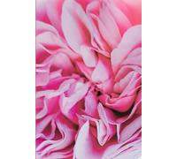 ROSE&PAPER Fine Writing Journal - Rose No. 5, 2026 Collection - for Women, Writers, Students & Rose Lovers: College-Ruled Notebook, 6x9 in (15.24 x ... Hot-Pink Margins - Romantic Floral Cover