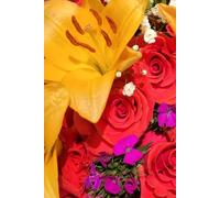 ROSE&PAPER Fine Writing Journal - Rose No. 9, 2026 Collection - for Women, Writers, Students & Rose Lovers: College-Ruled Notebook, 6x9 in (15.24 x ... Hot-Pink Margins - Romantic Floral Cover