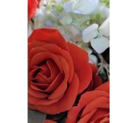 ROSE&PAPER Garden Layout Planner - Graph-Grid Notebook for Raised Beds, Plant Spacing & Seasonal Garden Design (2026 Collection - Rose No. 22): ... gardens, flower beds, and backyard layouts