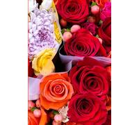 ROSE&PAPER Garden Layout Planner - Graph-Grid Notebook for Raised Beds, Plant Spacing & Seasonal Garden Design (2026 Collection - Rose No. 10): ... gardens, flower beds, and backyard layouts