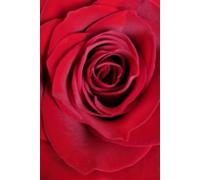 ROSE&PAPER Minimalist Bullet Journal - Rose No. 1, 2026 Collection - For Women, Productivity & Mental Health - Undated: 0.5 mm Gray Dot Grid - 6 x 9 in (15.24 x 22.86 cm) - Romantic Floral Cover