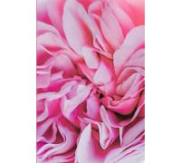 ROSE&PAPER Minimalist Bullet Journal - Rose No. 5, 2026 Collection - For Women, Productivity & Mental Health - Undated: 0.5 mm Gray Dot Grid - 6 x 9 in (15.24 x 22.86 cm) - Romantic Floral Cover