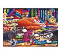 Roseart - Kodak Premium - The Old Book Shop Cats - 1500 piezas Rompecabezas para adultos