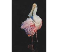 Roseate Spoonbill Journal Wildlife Writing Journal: Nature Inspired Writing Notebook for Bird Lovers and Journalers
