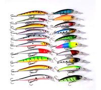 RoseFlower 20 Piezas Kits de señuelos Artificiales de Pesca Cebo Duros/Suaves Incluye Ranas, Giratorios, Cuchara, Anzuelos - Accesorios para Pesca de Trucha, Bagre y Lucio