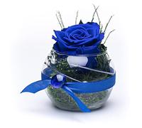 Rosen-Te-Amo, Regalo para ella| Rosa eterna conservada de San Valentín azul en Vaso | San Valentin | hecho a mano | En una caja de regalo fina | Infinity Rosas: decoración y regalos para mujeres