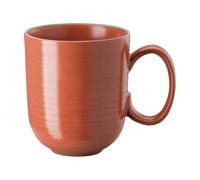 Rosenthal Taza Thomas Nature 40 cl Albaricoque