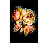 Roses in Black Journal