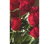Roses of Love - Journal