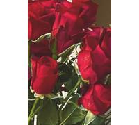 Roses of Love Journal