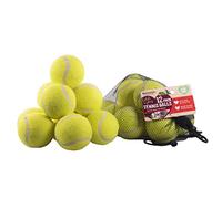 Rosewood 12 Pelotas de Tenis estándar, Juguetes para Perros